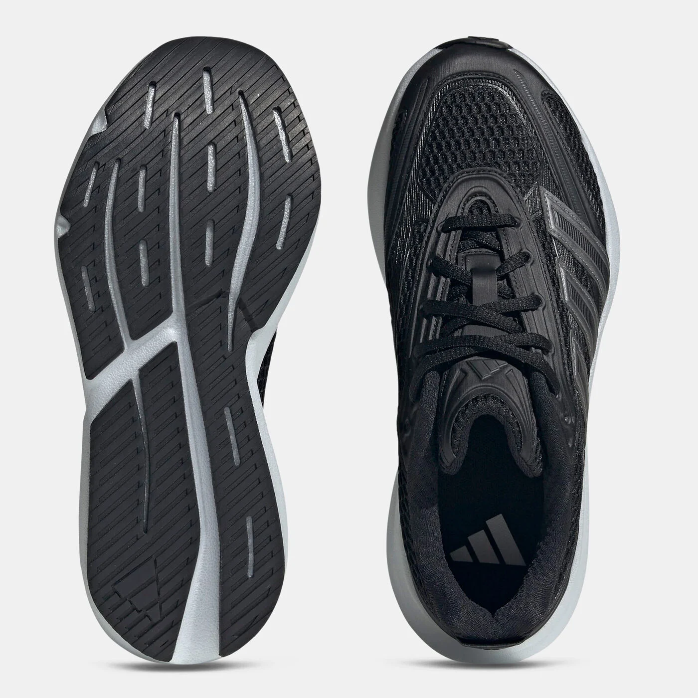 Women's Lightblaze Glow Shoes
