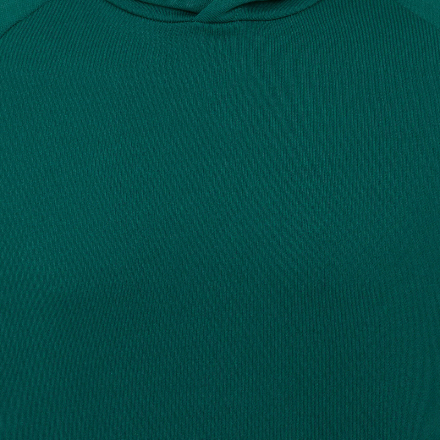 Men's Classic 2.0 Hoodie
