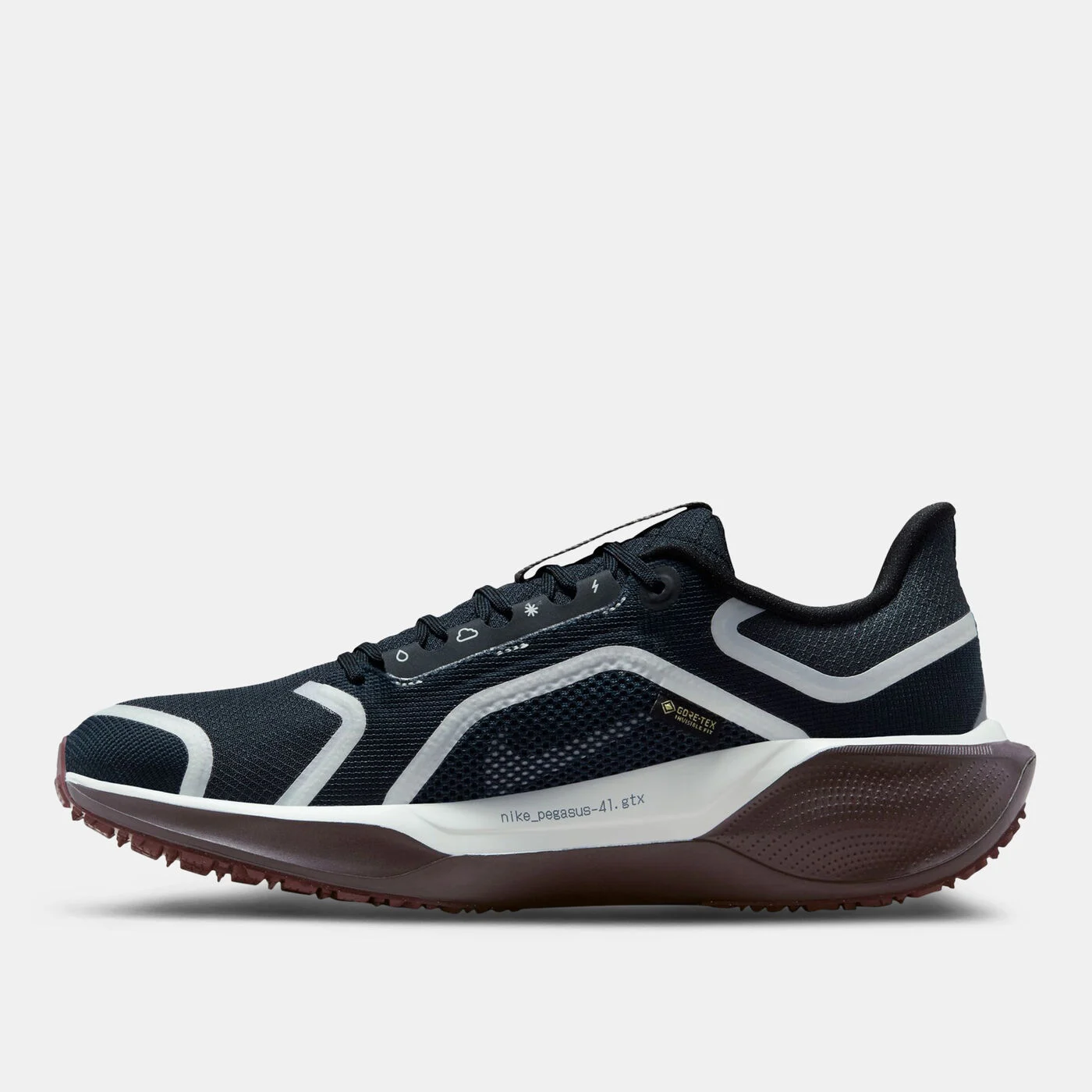 Women's Pegasus 41 GORE-TEX Road Running Shoes