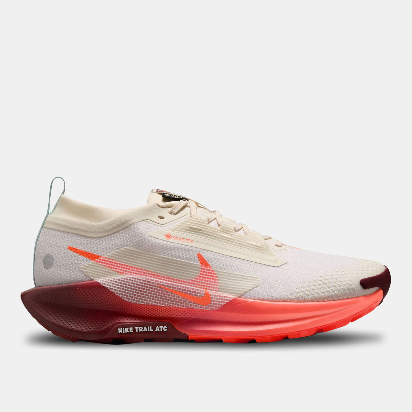 Men's Pegasus Trail 5 GORE-TEX Waterproof Trail-Running Shoes