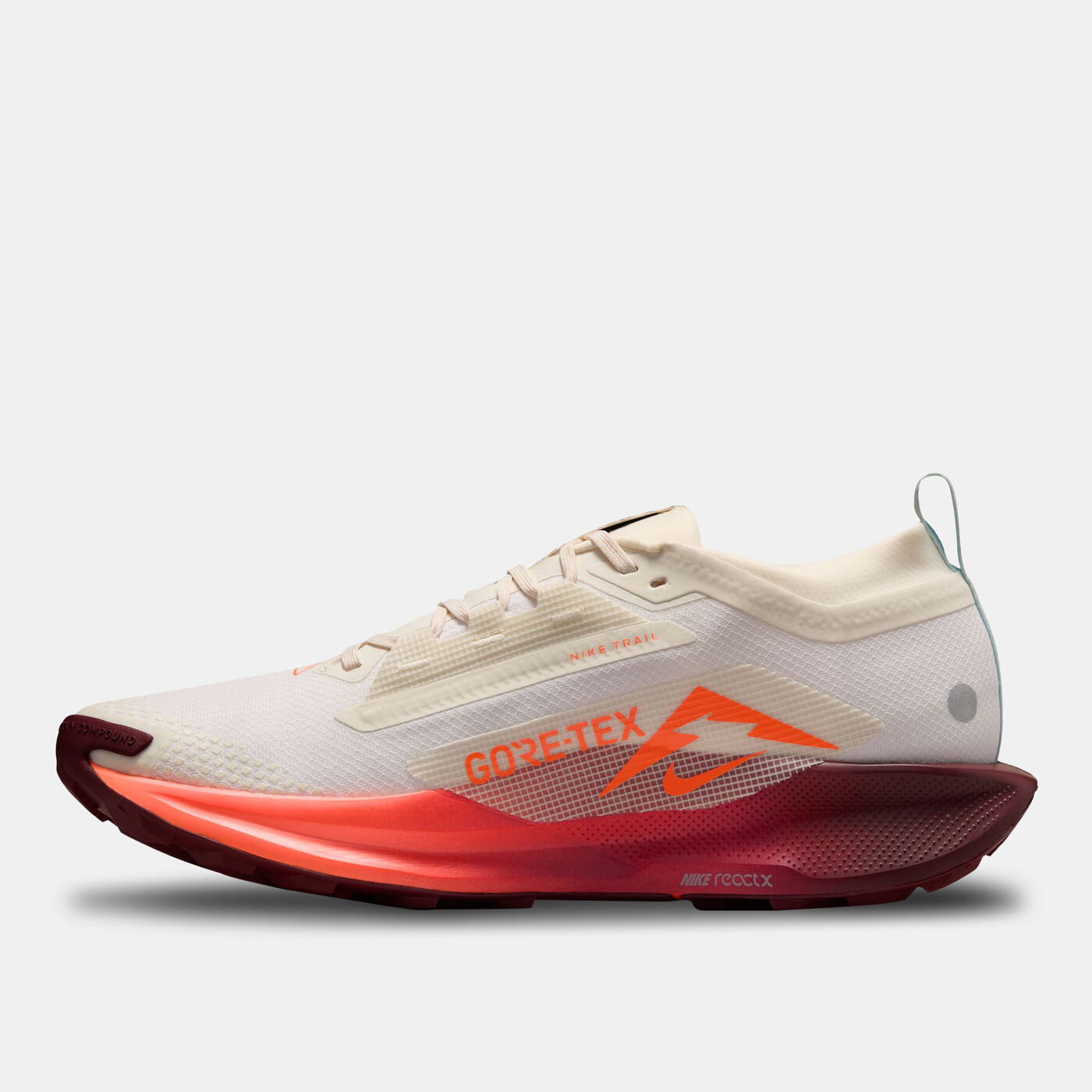 Men's Pegasus Trail 5 GORE-TEX Waterproof Trail-Running Shoes