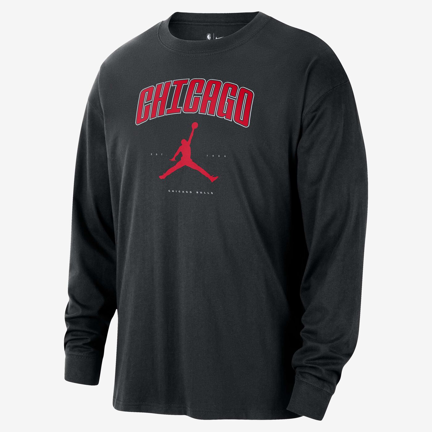 Men's NBA Chciago Bulls Essential T-Shirt