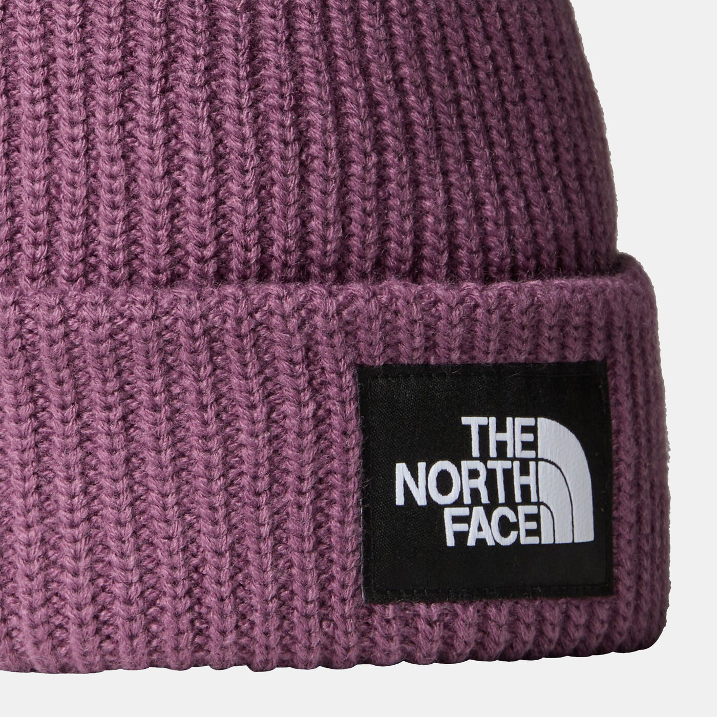 Salty Lined Beanie