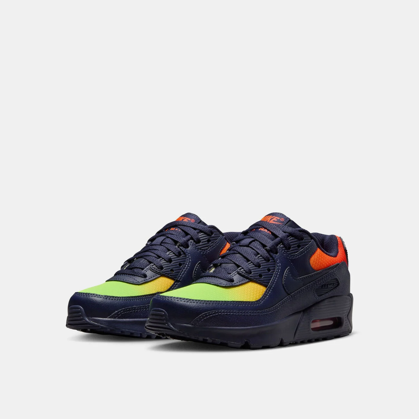 Kids' Air Max 90 LTR Shoes