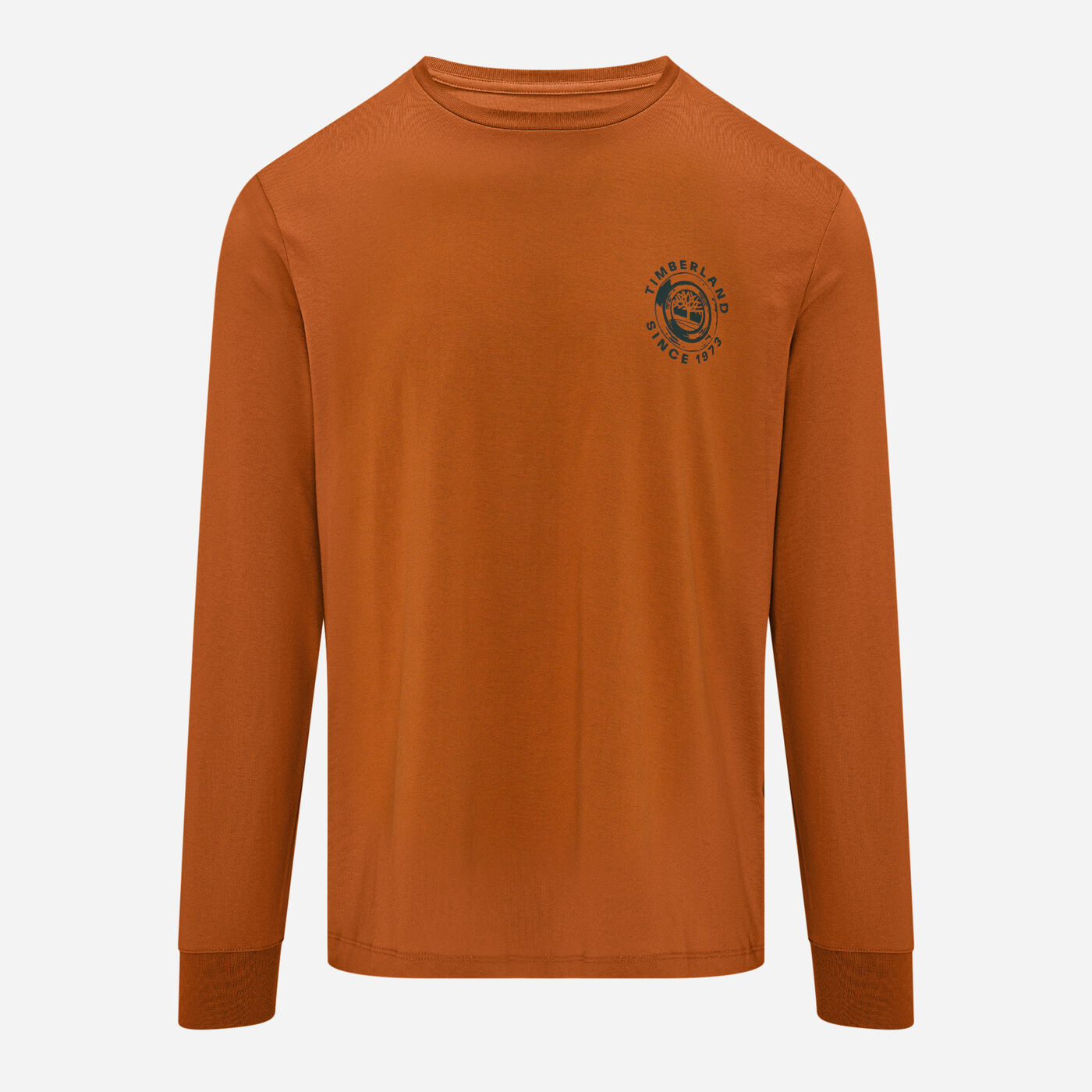 Men's Rugged Logo Long Sleeve Graphic T-Shirt