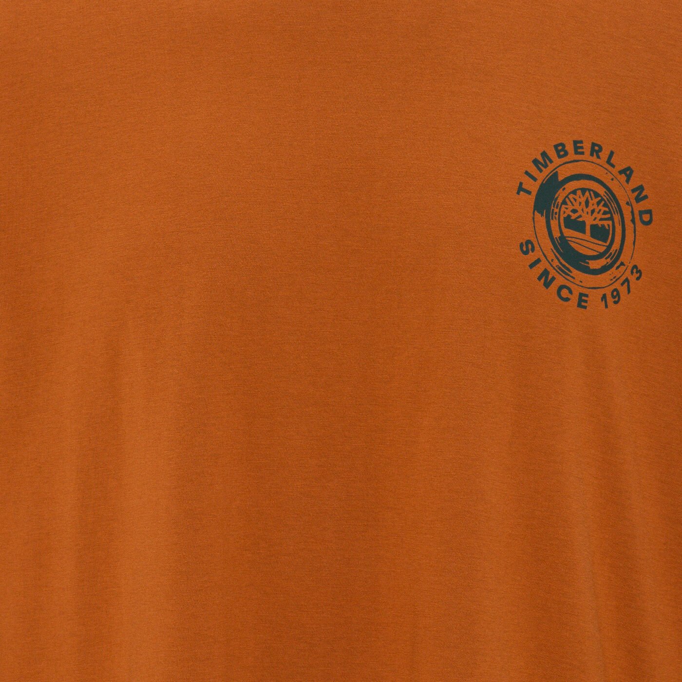 Men's Rugged Logo Long Sleeve Graphic T-Shirt