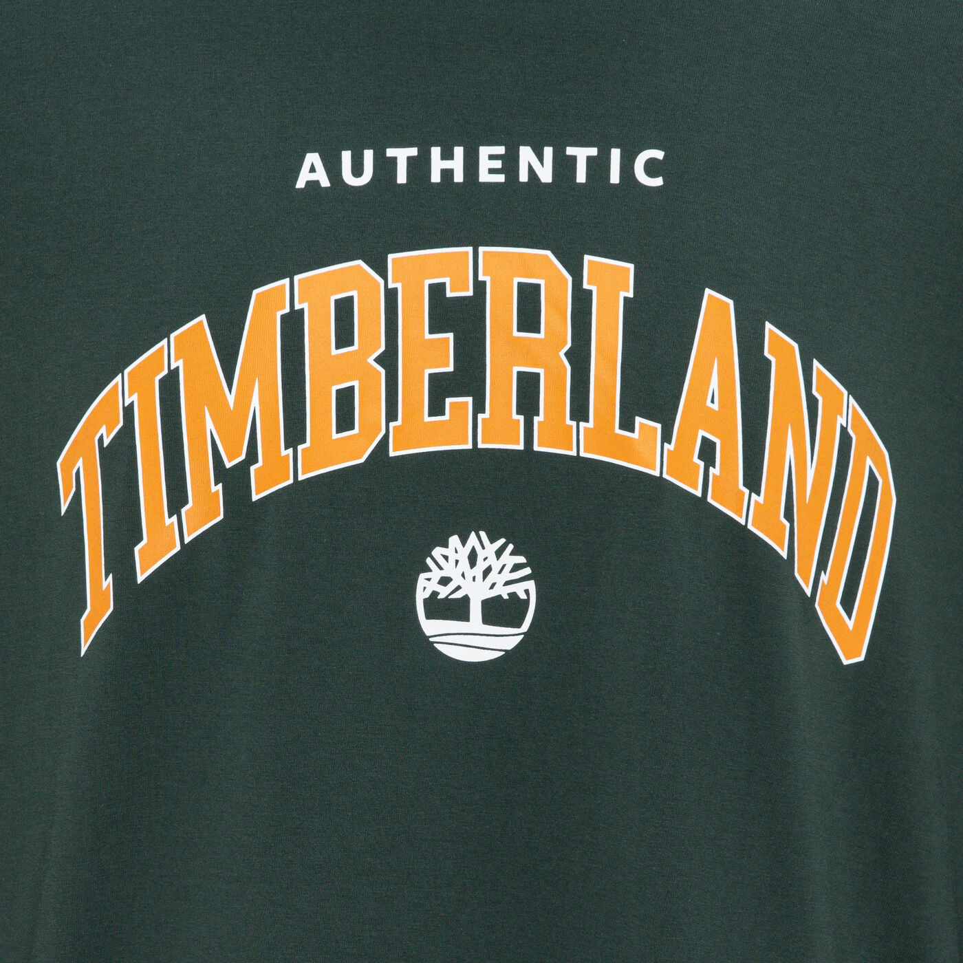 Men's Authentic Long Sleeve Graphic T-Shirt