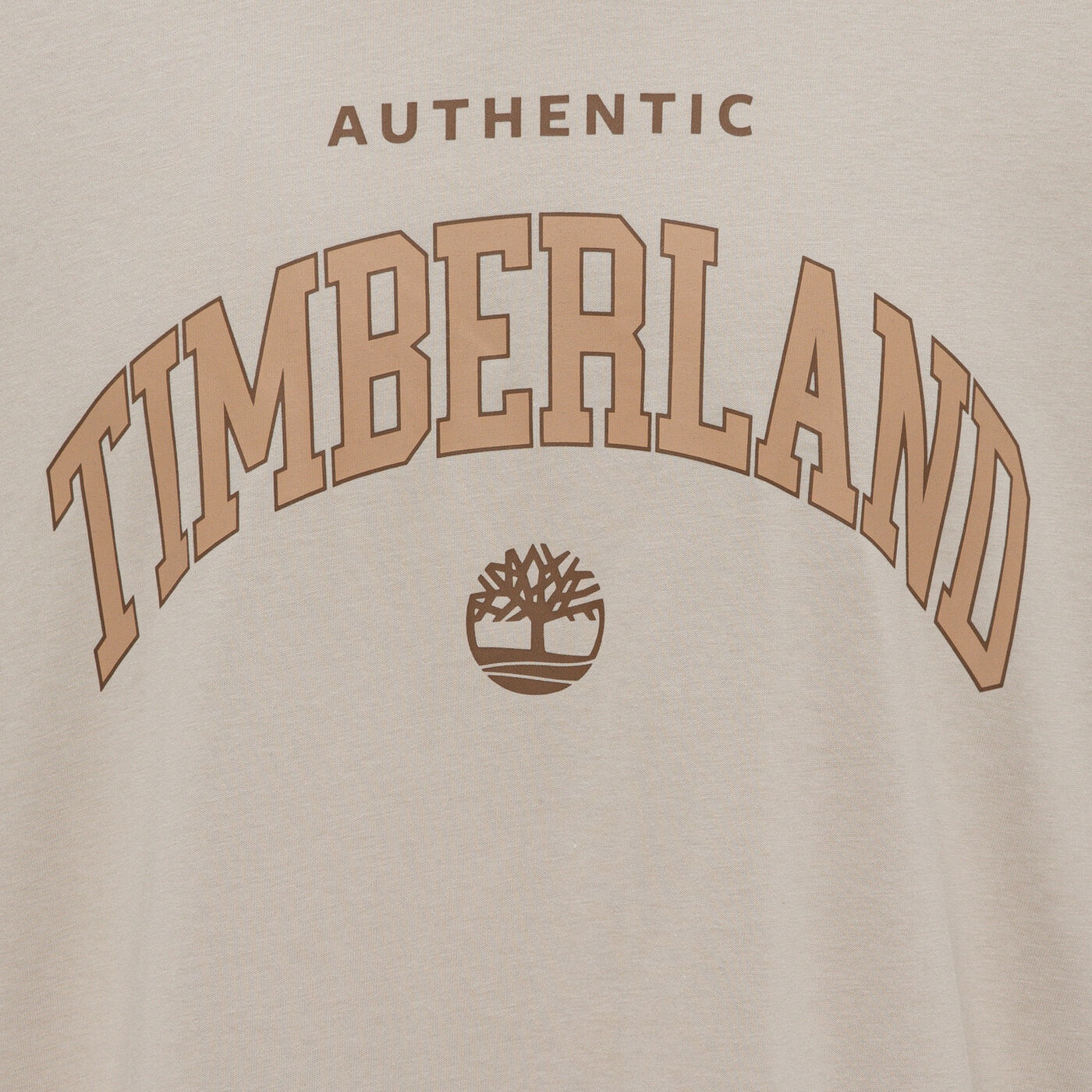 Men's Authentic Long Sleeve Graphic T-Shirt