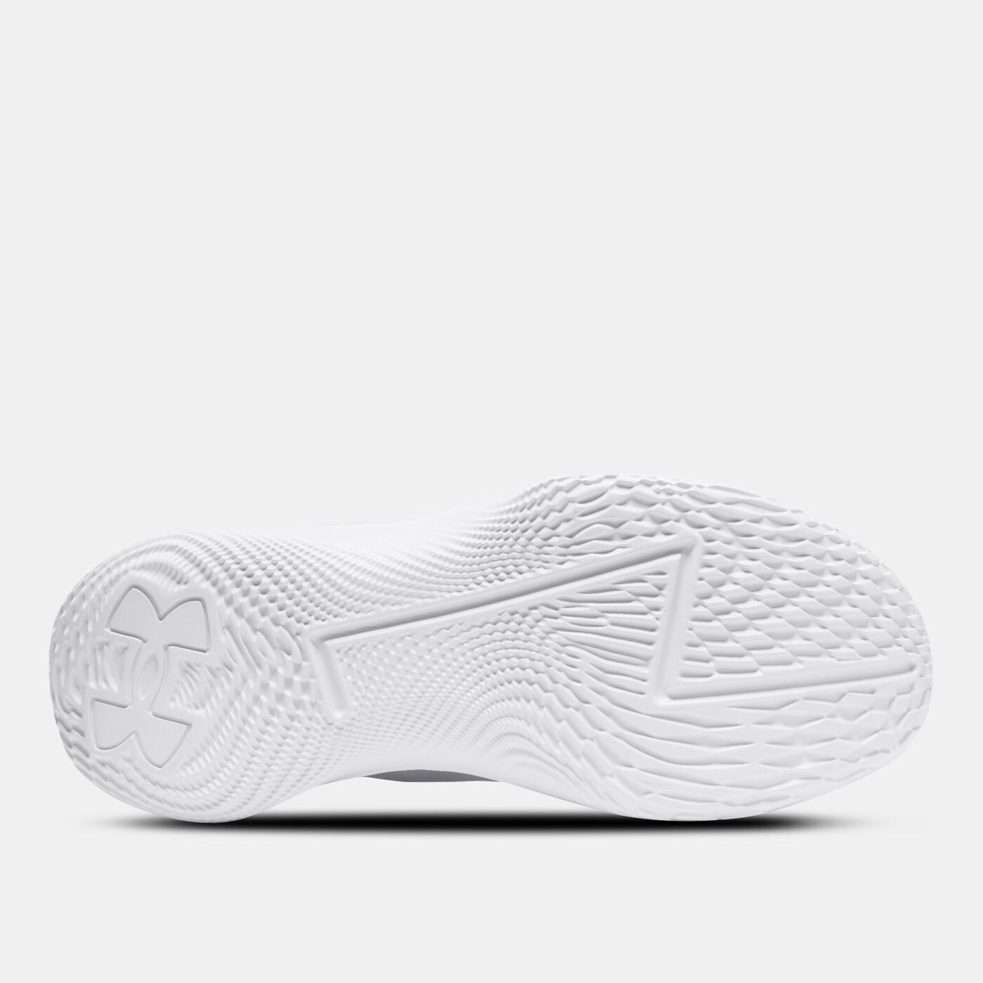 Curry 1 Low FloTro Lux Basketball Shoes