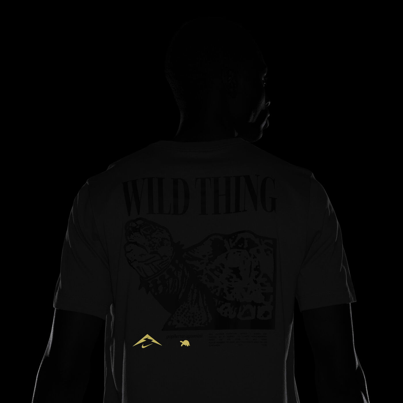 Men's Dri-FIT Trail Running T-Shirt