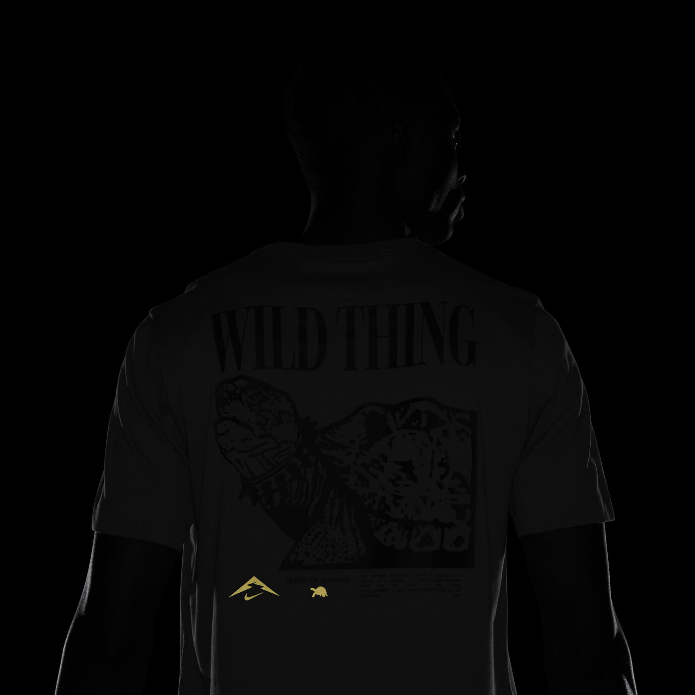 Men's Dri-FIT Trail Running T-Shirt