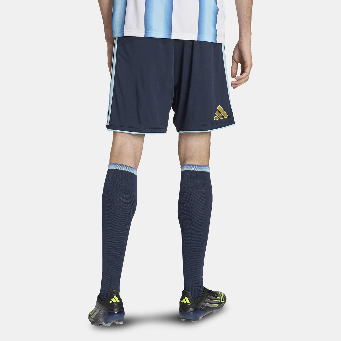 Men's Argentina 26 Home Football Shorts