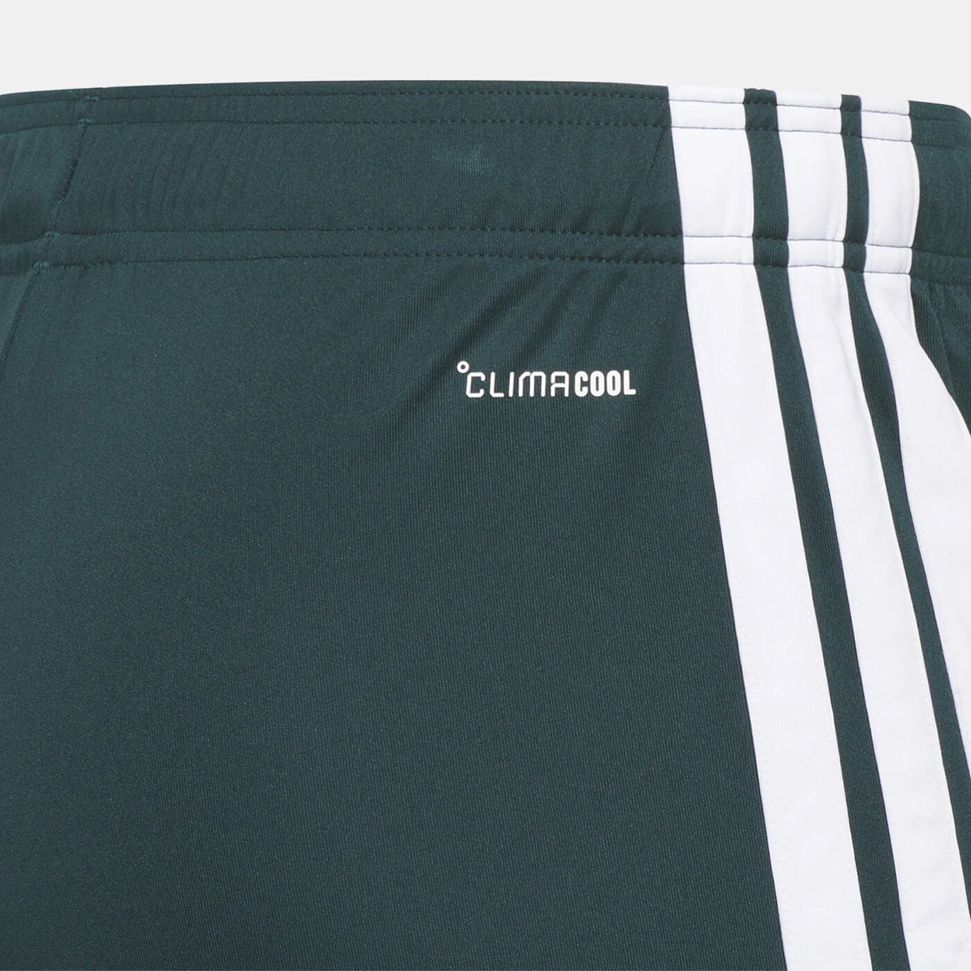 Men's Saudi Arabia 26 Home Football Shorts