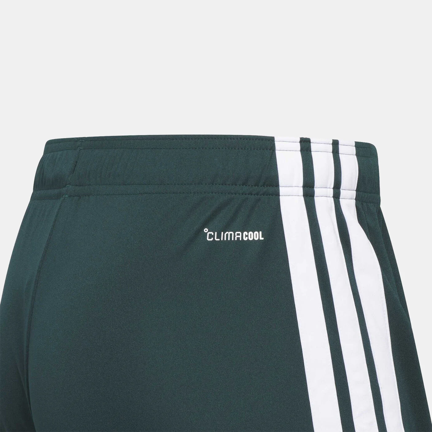 Men's Saudi Arabia 26 Home Football Shorts