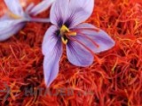 Saffron