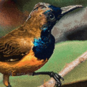 تابلو فرش دستباف طرح پرنده مینا کد 901161