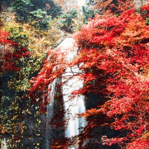 تابلو فرش دستباف طرح منظره آبشار کد 901202