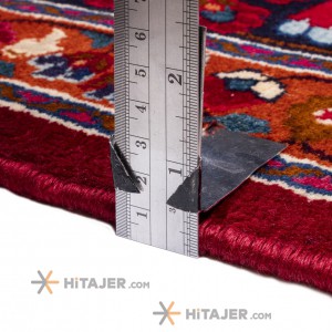 Birjand Rug Ref 179017