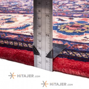 Sangar Rug Ref 179020