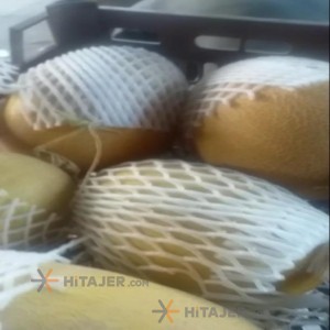 Takestan rock persian melon