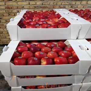 Qazvin red apple