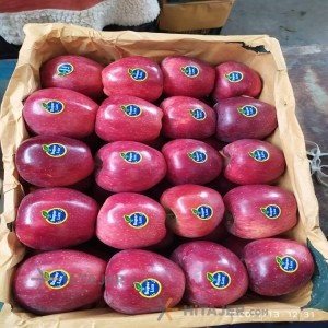 Urmia sorted red apple