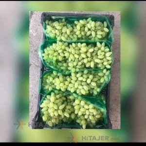 Kashmar pikami seedless yellow grape