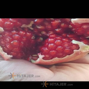 رمان ممتاز کاشمر