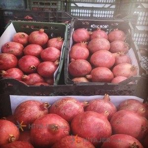 رمان ممتاز کاشمر