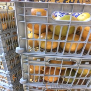 برتقال تامسون ساری