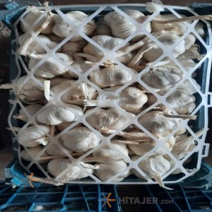 سیر خشک سفید متوسط همدان