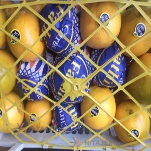 برتقال تامسون ساری