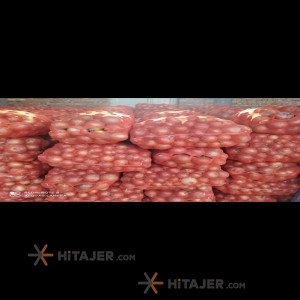 Khorram Abad yellow onion