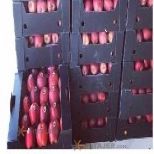 Oshnavieh sorted red apple