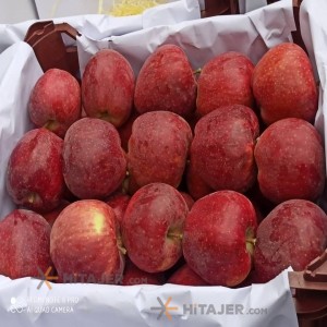 Mahabad red apple