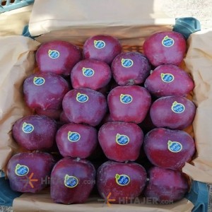 Mahabad red apple