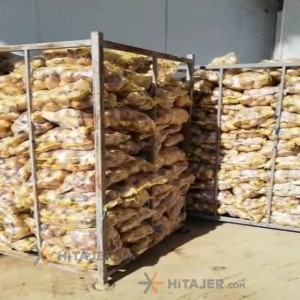 سیب زمینی بذر بامبا همدان