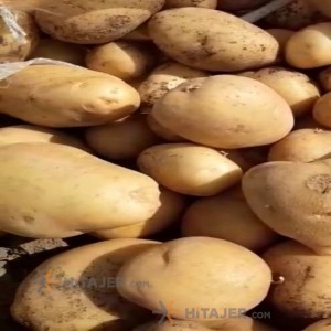 Hamedan jili seed potato