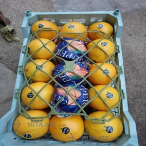 Babol Thamson Orange