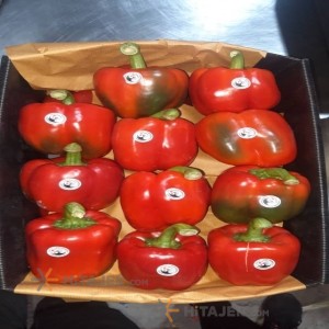 فلفل حلو ملون شهرضا