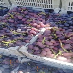 Orumiyeh Seedless yellow and red grapes