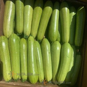 Varamin Zucchini