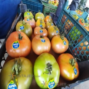 گوجه فرنگی دو رنگ بذر 8320 زنجان