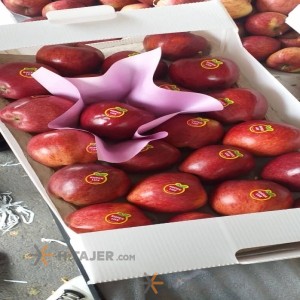 Astara red apple