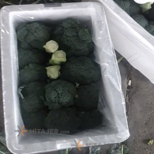 Karaj broccoli