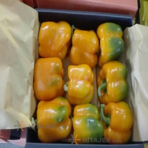 فلفل دلمه ای رنگی اصفهان