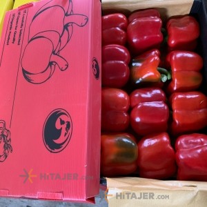 فلفل دلمه ای رنگی اصفهان