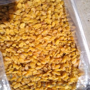 Kashmar Golden Raisin