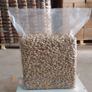 Rafsanjan Akbari Raw Pistachio Ounce 20