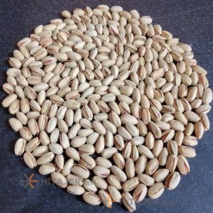 Rafsanjan Akbari Raw Pistachio Ounce 20